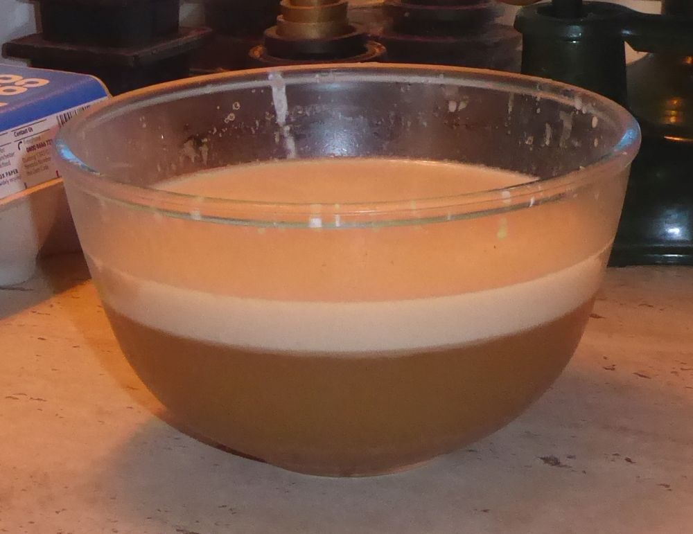 meat stock with layer of tallow